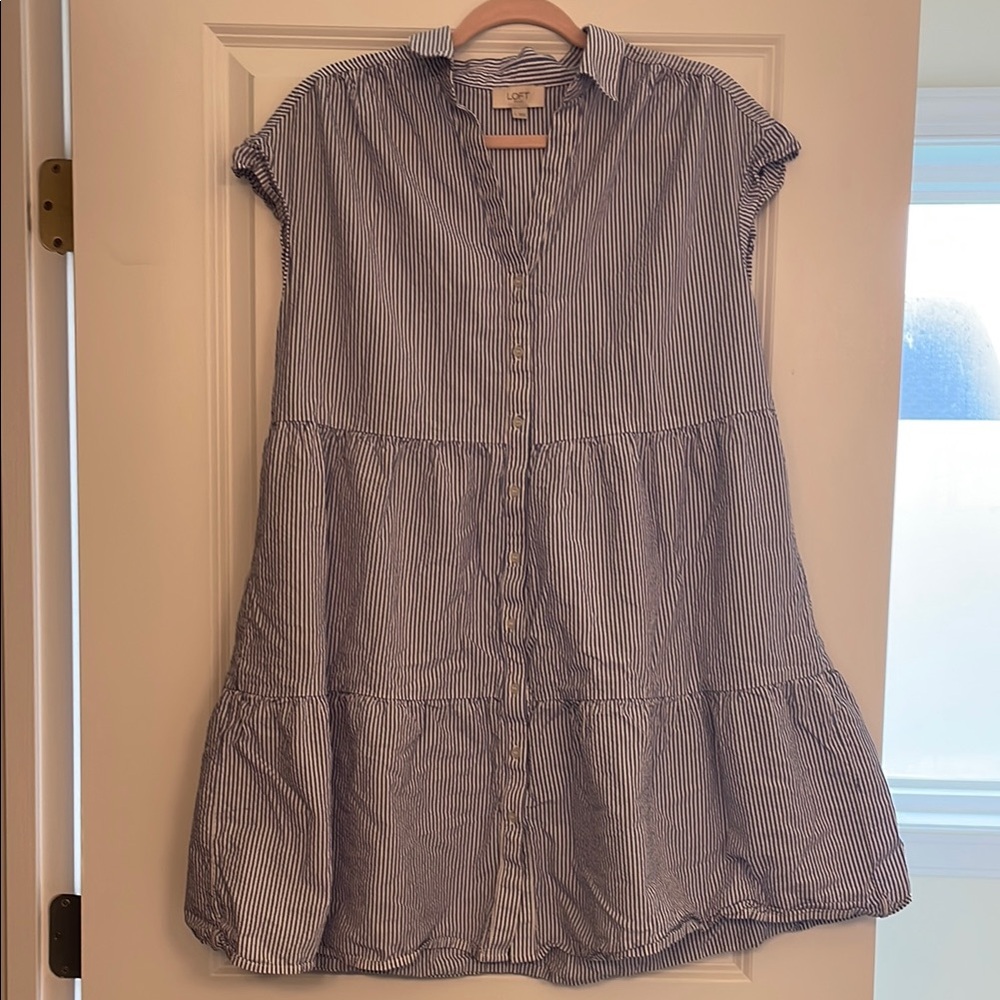 Striped Blue and White Button-Down Dress